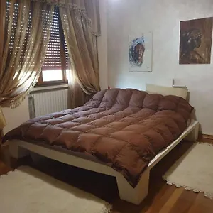 Duplex Carpi